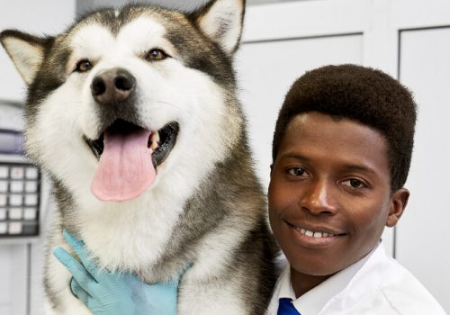 Inscreva-se no curso de Medicina Veterinária da UniVS