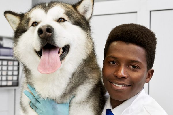 Inscreva-se no curso de Medicina Veterinária da UniVS