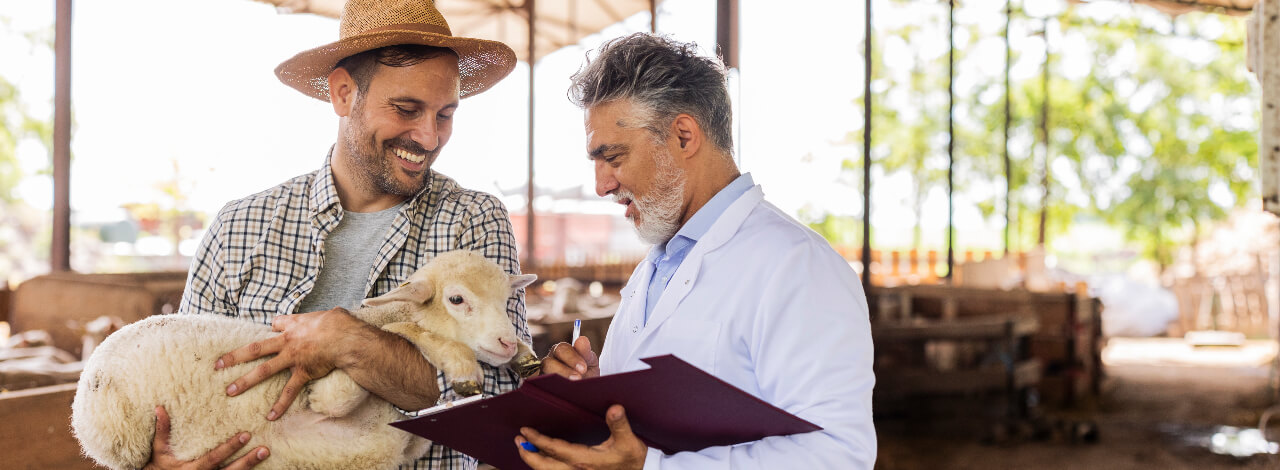 Qual área da Medicina Veterinária ganha mais?