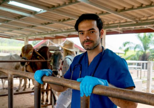 One health: o que é saúde única e como ela integra diferentes áreas?