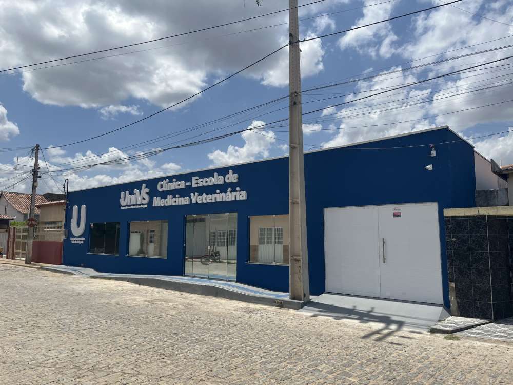 Estrutura Unileão 3