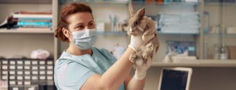 Medicina Veterinária