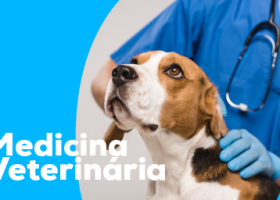 Palestra - “A atuação do médico veterinário na extensão rural”