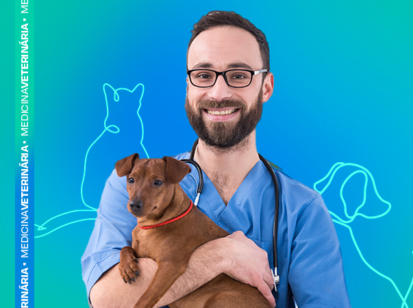 UniVS inicia atendimentos na Clínica-Escola de Medicina Veterinária em Icó