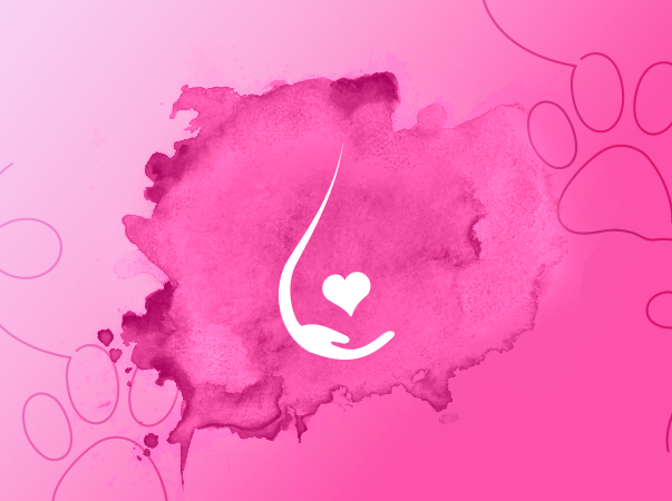 Outubro Rosa: A Educação transforma e o conhecimento salva vidas!