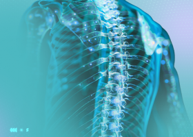 I Congresso Cearense de Anatomia (COCEA)